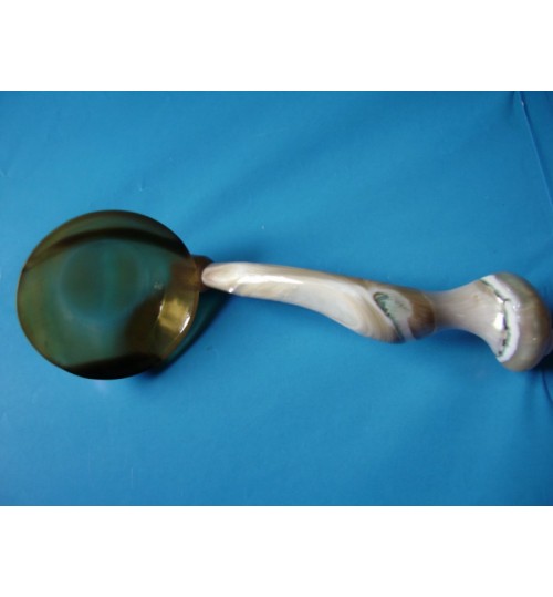 Muỗng sừng ốc